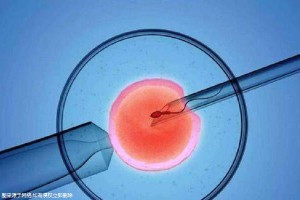 着床障害